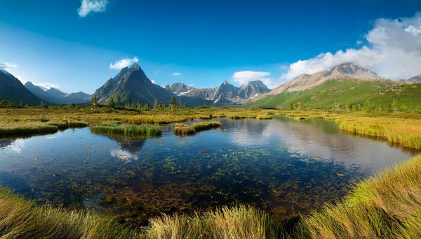 Taxi Lyon aéroport : votre transfert simplifié à toute heure
